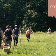 Event image Nyttevekstvandring del 2