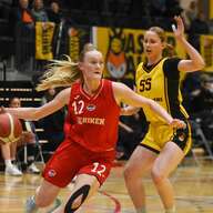 Event image NM FINALE: Ulriken Eagles VS Asker Aliens