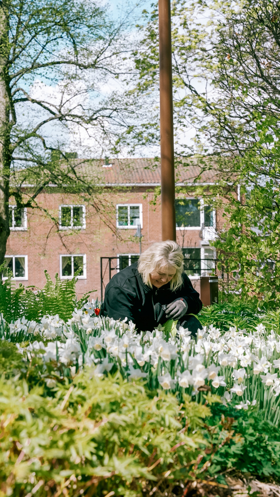 Event image Vårvandring i Kirkeparken