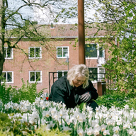 Event image Vårvandring i Kirkeparken