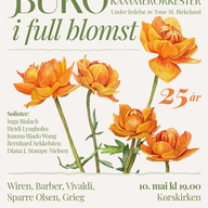 Event image BUKO i full blomst