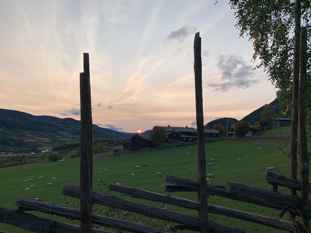 Event image Såmmårfest med Hillbabies og VON