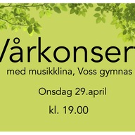 Event image Vårkonsert med musikklina på Voss gymnas