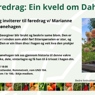 Event image Føredrag: Ein kveld om Dahlia / Georginer