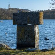 Event image Søndagsomvisning: Mosvannet