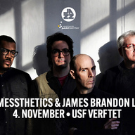 Event image THE MESSTHETICS & JAMES BRANDON LEWIS