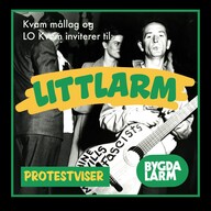 Event image Littlarm 2026: Protestviser