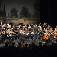 Event image Sommerkonsert med Drammen Symfoniorkester