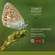 Event image Sommerkonsert - a cappella, med Bergen Kammerkor