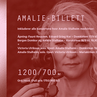Event image Amalie-billett – Bergen kirkeautunnale