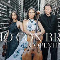 Event image Trio con Brio Copenhagen – Bergens kammermusikkforening