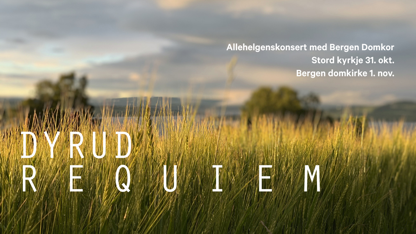 Event image Allehelgenskonsert med Bergen Domkor i Bergen domkirke