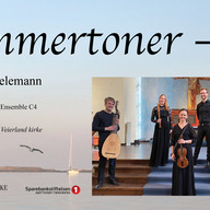 Event image A love for Telemann