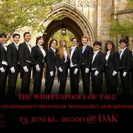 Event image Konsert med The Whiffenpoofs of Yale, Studinekoret Sirenene og Mannskoret Arme Riddere 2026