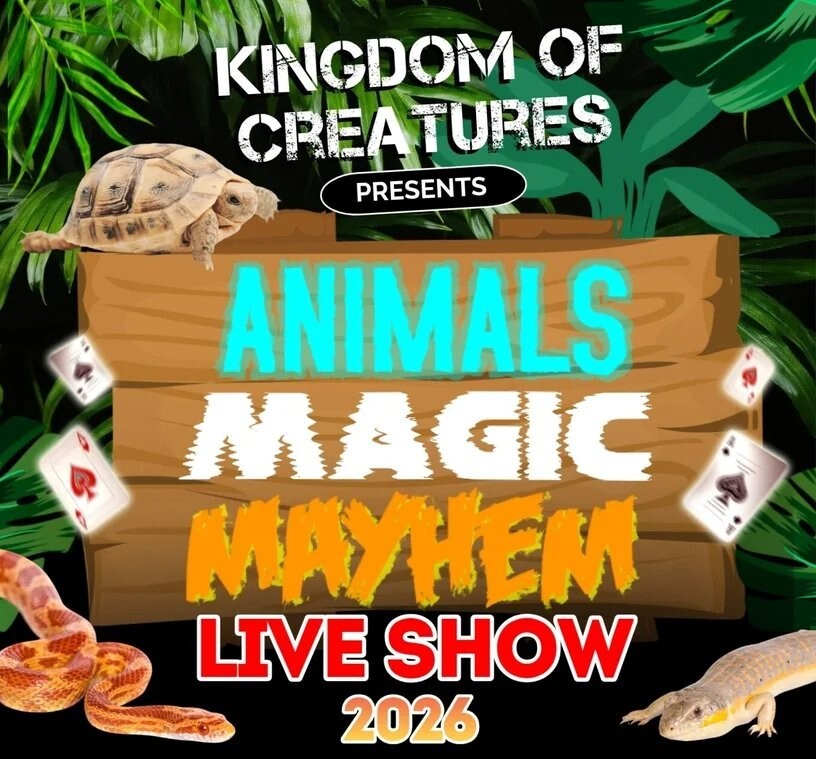 Event image Animals Magic Mayhem LIVE Show 2026