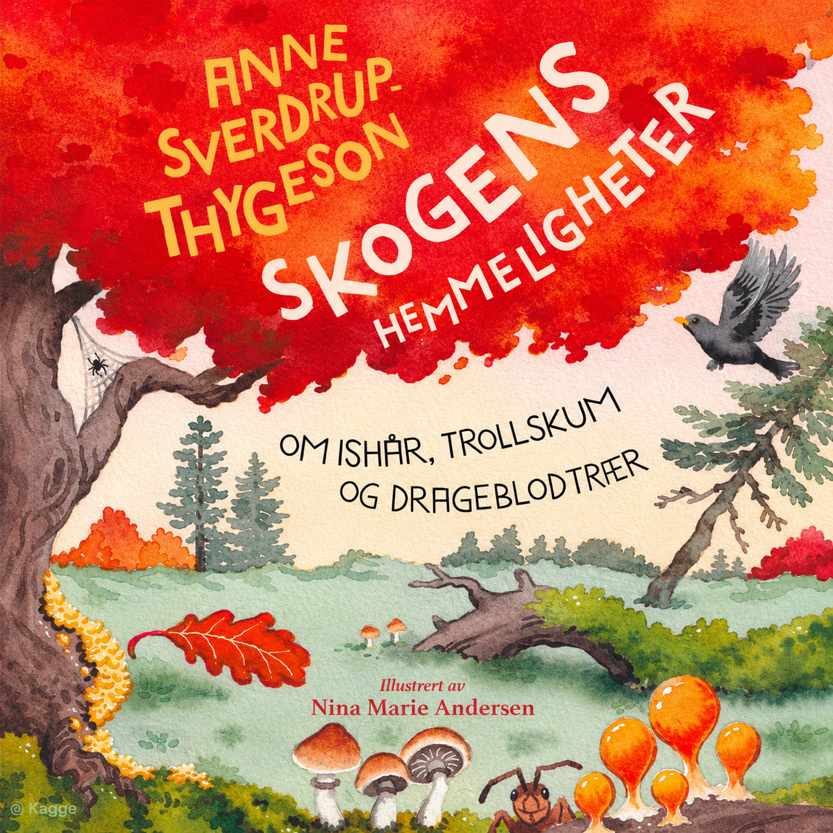 Event image Familiesøndag: Skogens hemmeligheter med Anne Sverdrup-Thygeson