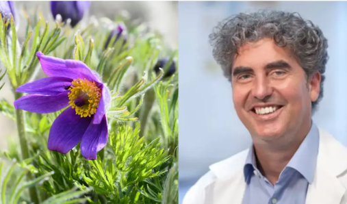 Event image Dr. Michael Takacs: En verden i forandring