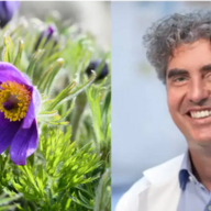 Event image Dr. Michael Takacs: En verden i forandring
