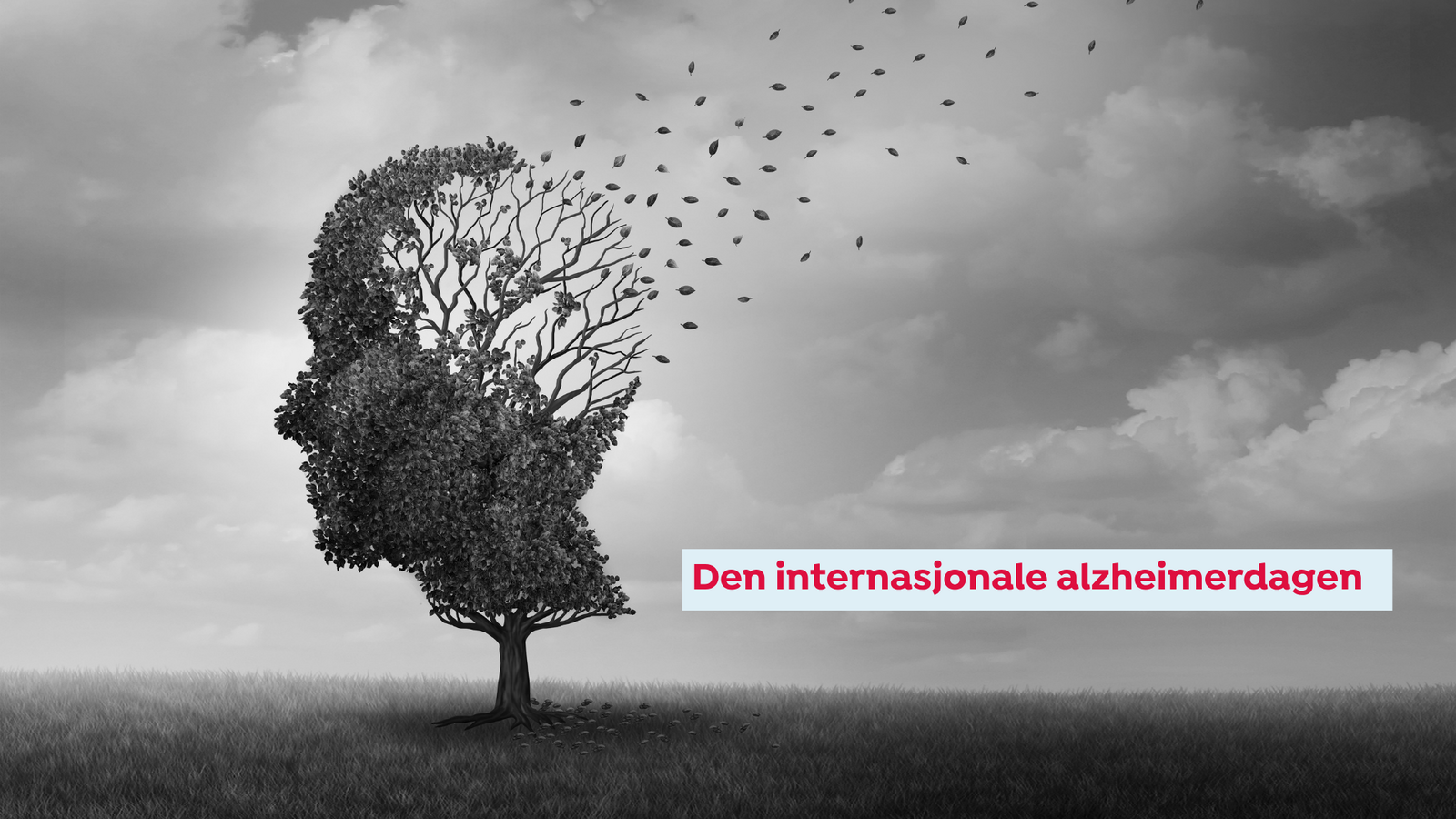 Event image Den internasjonale alzheimerdagen
