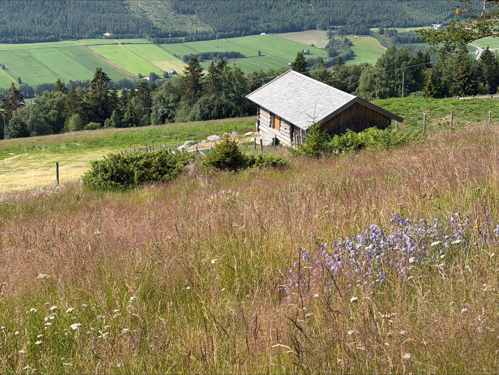 Event image Dendrokronologiske dateringer av bygning på gården Lunda i Uvdal 