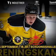 Event image Treningskamp / Ringerike - Stjernen