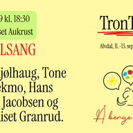 Event image Allsang - Alvdal Allstars