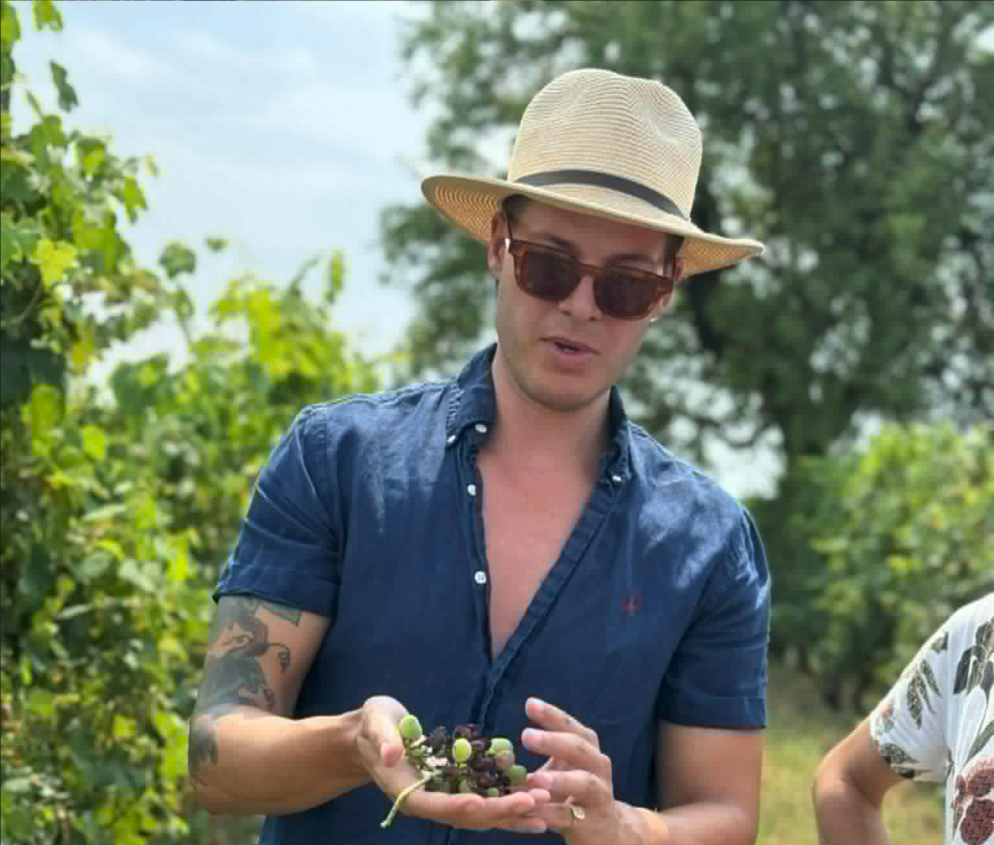 Event image Vinsmaking - Vin til sommermaten!