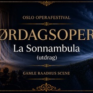 Event image Oslo Operafestival: Lørdagsopera (udrag fra La Sonnambula)