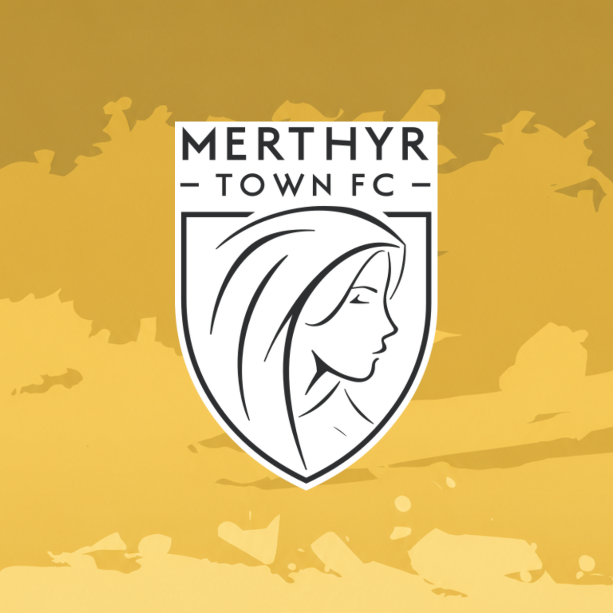 Event image South Shields FC v Merthyr Town FC (Hospitality)