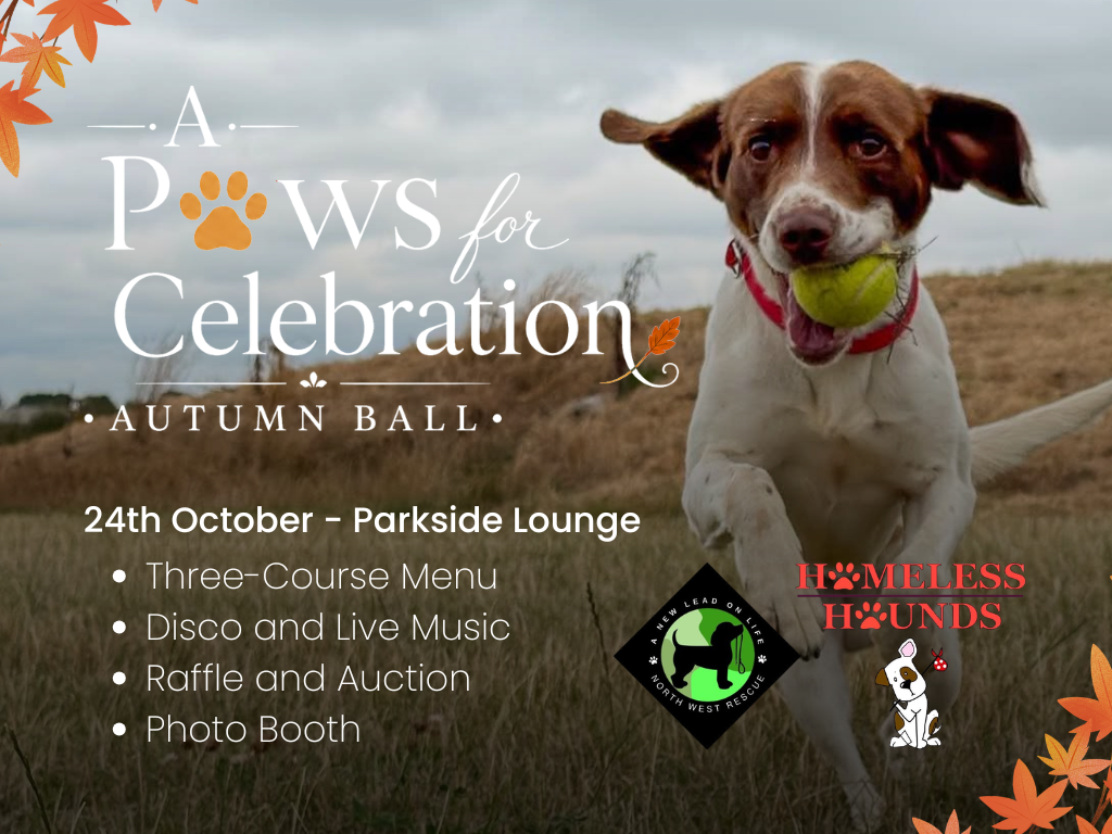 Event image A Paws For Celebration - Charity Autumn Ball