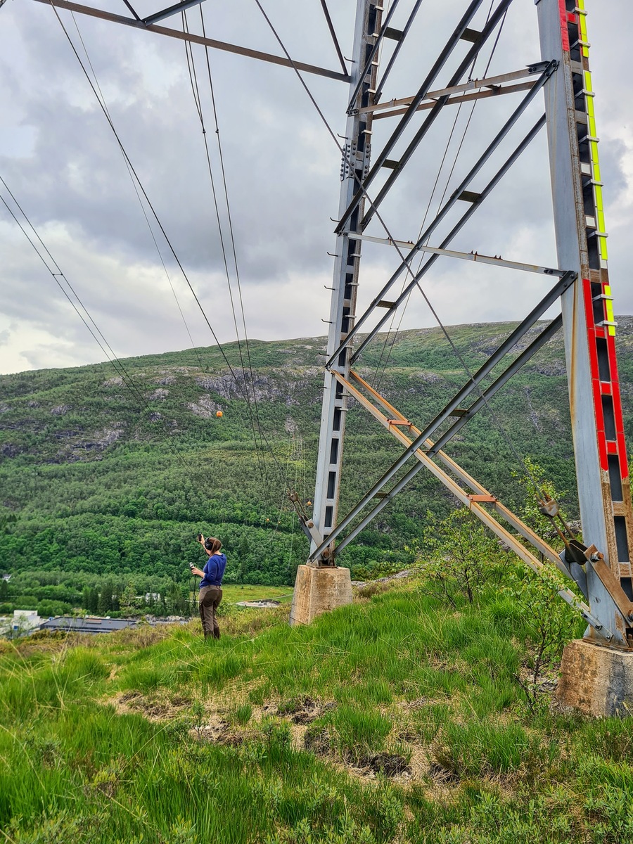Event image SKULKESKOLEN - Energy Infrastructure Hike in Burkelandsfjellet with Ase Brunborg Lie