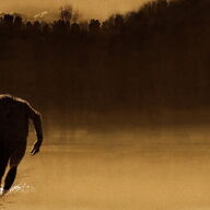 Event image Charles B. Pierce-dobbel: The Legend of Boggy Creek