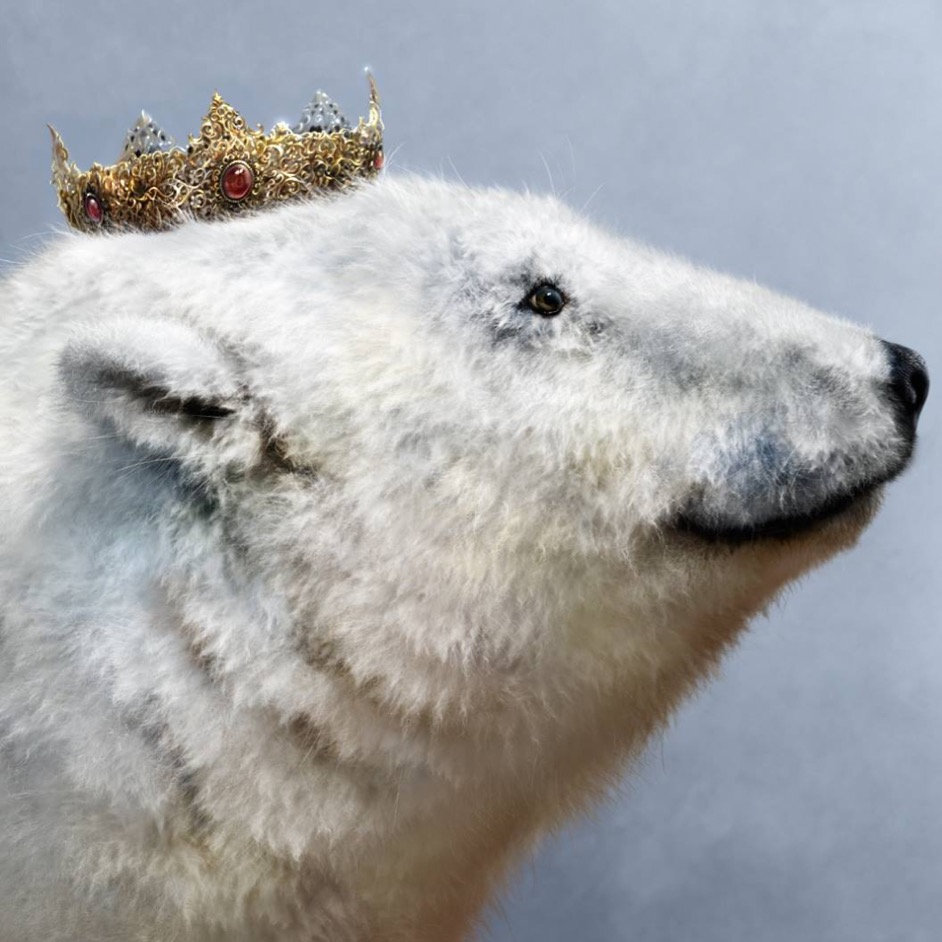 KVITEBJØRN