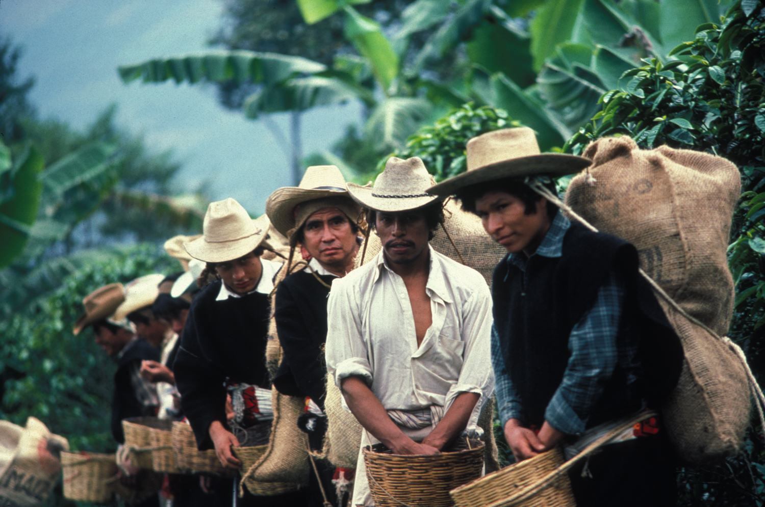 Event image EL NORTE - 8/9 KL. 20:00