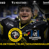 Event image Ringerike - Nidaros