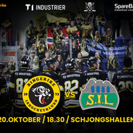 Event image Ringerike - Storhamar