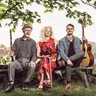 Event image Folkmusikafton med Anette Wallin trio - Konsert och dans 
