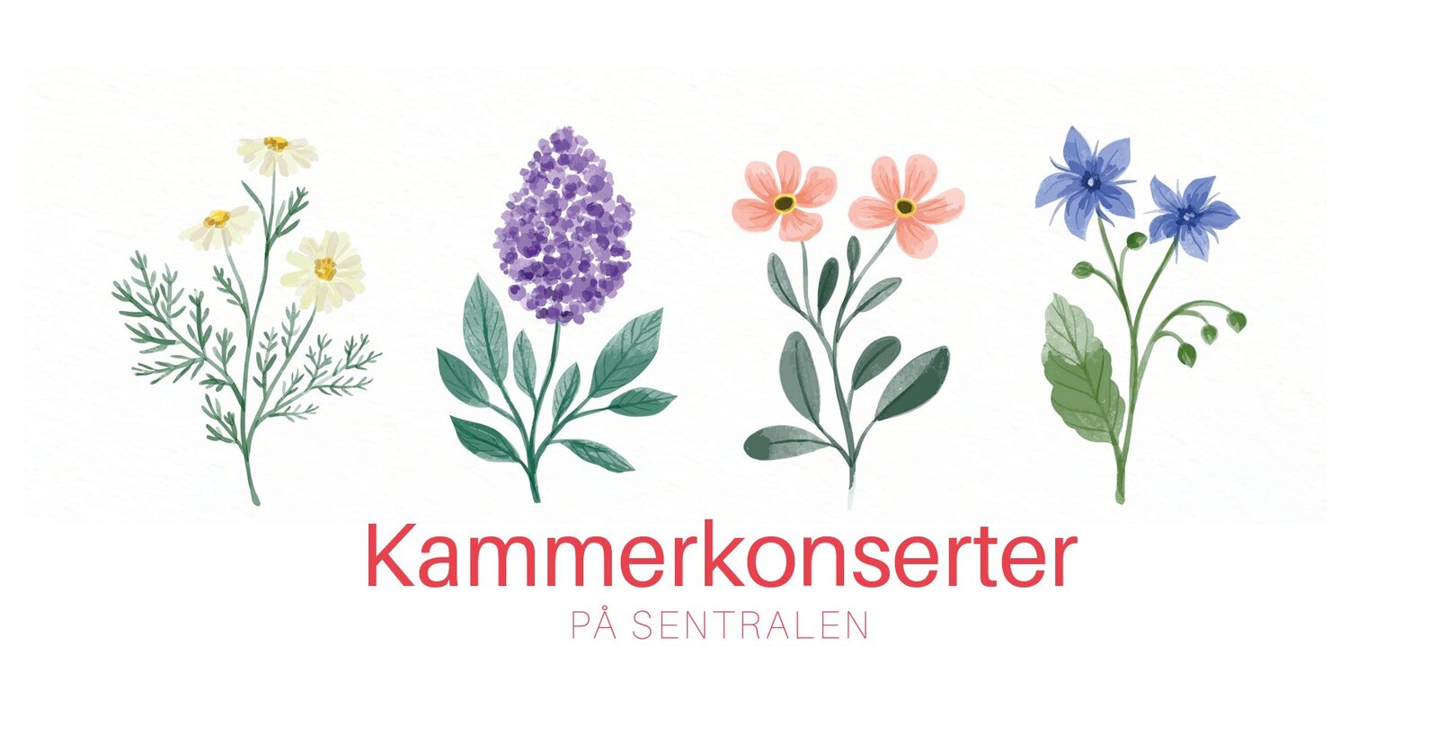 Event image Lunskonsert på Sentralen: Clara Schumann