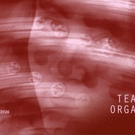 Event image  Premiere - Teaterforestilling: Organisten - Bergen Kirkeautunnale 2026