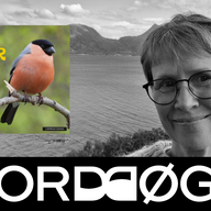 Event image FAMILIEARRANGEMENT med Marit Røgeberg Ertzeid. Og verkstad!