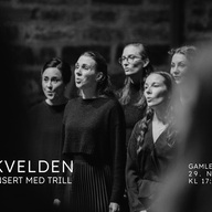 Event image Om kvelden – Julekonsert med TRILL 2026