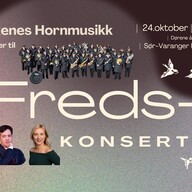 Event image Fredskonsert