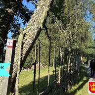 Event image Foredrag: Å vandre pilegrim - historie, tradisjon og kultur
