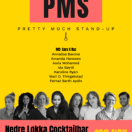 Event image Female-centric comedy: PMS - Pretty Much Stand-Up