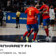 Event image BAIK Futsal - Ankaret FK i Svenska Futsalligan Herr