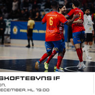 Event image BAIK Futsal - Skoftebyns IF i Svenska Futsalligan Herr
