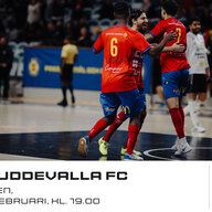 Event image BAIK Futsal - Uddevalla FC i Svenska Futsalligan Herr