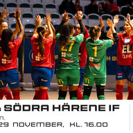 Event image BAIK Futsal - Södra Härene IF i Svenska Futsalligan Dam