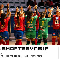 Event image BAIK Futsal - Skoftebyns IF i Svenska Futsalligan Dam