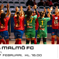 Event image BAIK Futsal - Malmö FC i Svenska Futsalligan Dam